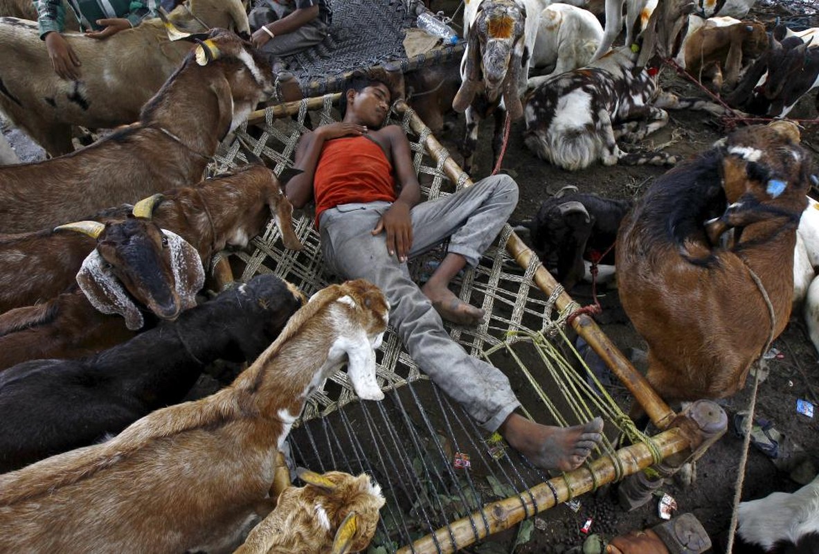 Nguoi Hoi giao tren khap the gioi don le Eid al-Adha-Hinh-13